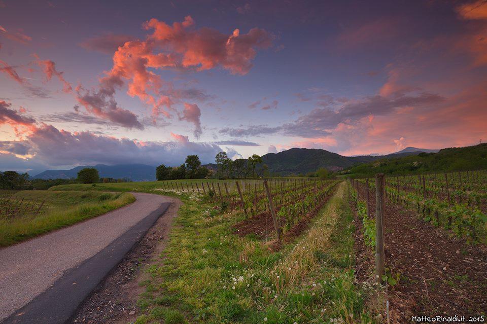 Wine & Lake In Franciacorta Passirano Eksteriør bilde