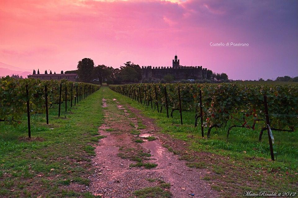 Wine & Lake In Franciacorta Passirano Eksteriør bilde